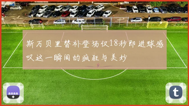 斯万贝里替补登场仅18秒即进球感叹这一瞬间的疯狂与美妙