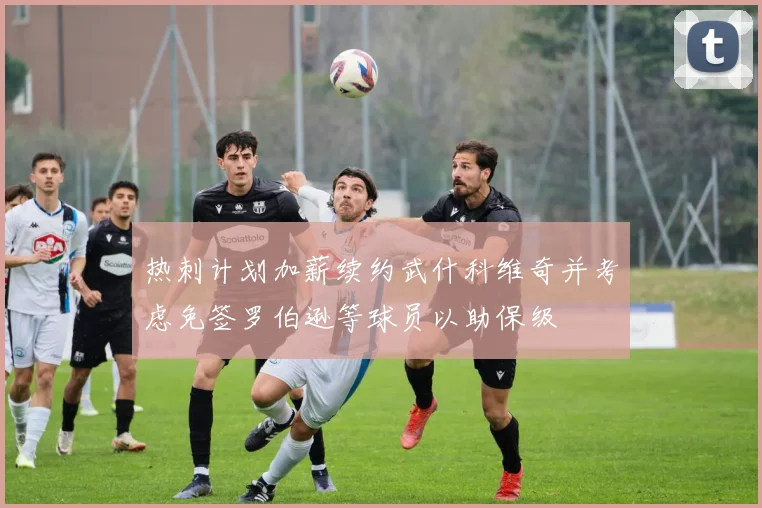 热刺计划加薪续约武什科维奇并考虑免签罗伯逊等球员以助保级
