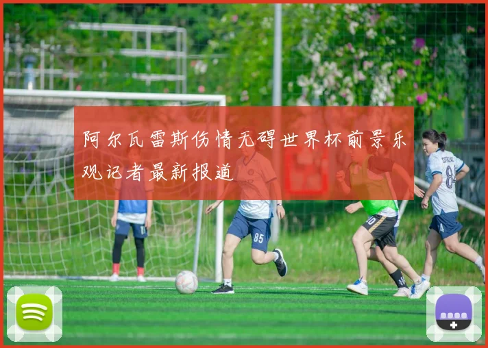 阿尔瓦雷斯伤情无碍世界杯前景乐观记者最新报道