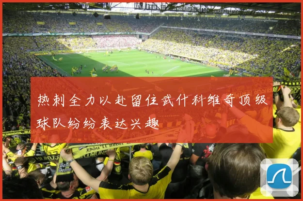 热刺全力以赴留住武什科维奇顶级球队纷纷表达兴趣