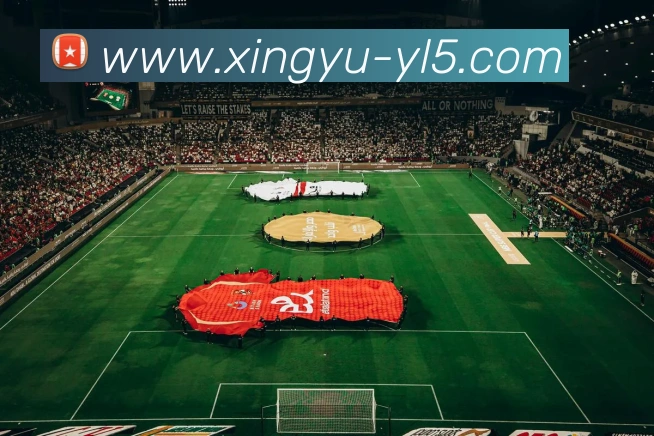 杏宇娱乐发展历程